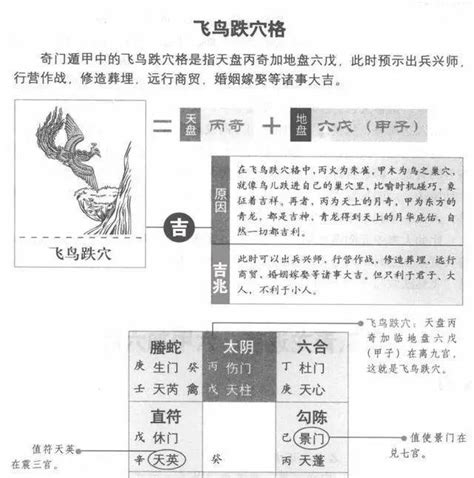 飛鳥跌穴|奇门遁甲中的飞鸟跌穴格如何理解？